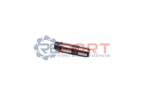 Натягувач ланцюга ГРМ BMW 3 (E30), 3 (E36), Z3 (E36) 1.8/1.9 09.89-08.99 INA 551000810 Купити в Україні