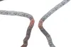 Фото Комплект приводу масляного насоса HYUNDAI H-1, H-1 / STAREX, H-1 CARGO, H-1 TRAVEL, PORTER KIA SORENTO I 2.5D 07.01 INA (558 0155 20) зображення 9