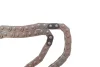 Фото Комплект ланцюга ГРМ Hyundai Santa Fe/Tucson/Kia Sportage 2.0/2.2 CRDi 10 INA (559 1002 20) зображення 3