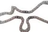 Комплект ланцюга ГРМ Ford Transit 2.4DI/2.2-2.4TDCI 06- (ланцюг, натяжник, шестерня) INA (559 1806 41) зображення 12