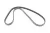 Ремінь генератора Ford Focus IV/Galaxy III/Mondeo V/Transit 2.0D/2.0DH 15 INA (FB 3EPK714) зображення 2