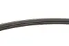 Фото Ремінь генератора Renault 19/Clio/Megane 1.2-1.6 88-03 INA (FB 3PK715) зображення 3