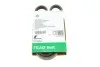 Фото Ремінь генератора Ford Focus III/IV 2.0 ST/2.3 RS 12- (4PK890) INA (FB 4EPK890) зображення 1