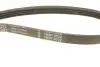 Фото Ремінь генератора Ford Focus III/IV 2.0 ST/2.3 RS 12- (4PK890) INA (FB 4EPK890) зображення 4