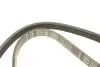 Фото Ремінь генератора Ford Focus III/IV 2.0 ST/2.3 RS 12- (4PK890) INA (FB 4EPK890) зображення 5
