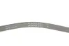Фото Ремінь генератора Chrysler Neon/Renault Safrane 1.8-3.0 90-04 INA (FB4PK1125) зображення 5