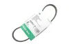 Фото Ремінь генератора Hyundai i10/Fiat Doblo/Punto/Stilo 1.2/1.4 01 INA (FB4PK673) зображення 2