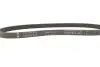 Фото Ремінь генератора Hyundai i10/Fiat Doblo/Punto/Stilo 1.2/1.4 01 INA (FB4PK673) зображення 4