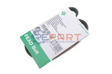Ремінь генератора Renault Kangoo 1.6i 08- (4PK725) INA FB 4PK725 Купити в Україні