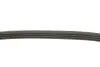 Фото Ремінь генератора Ford Transit 2.0 TDCI 00-06 INA (FB 4PK735) зображення 3
