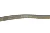 Фото Ремень генератора Renault Laguna/Espace 3.5 02-/Honda Civic 1.6 88-01 INA (FB4PK775) изображение 3