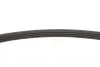 Фото Ремінь генератора Fiat Sedici/Honda Civic/Kia Pride/Opel Omega B 1.6-4.4 88-14 INA (FB 4PK805) зображення 3