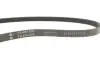 Фото Ремінь генератора Fiat Sedici/Honda Civic/Kia Pride/Opel Omega B 1.6-4.4 88-14 INA (FB 4PK805) зображення 4