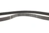 Ремень генератора Citroen Jumper/Peugeot Boxer 2.5D 94-02 INA (FB4PK866) изображение 5