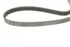 Фото Ремінь генератора Ford Focus III/IV 2.0 ST/2.3 RS 12- (4PK890) INA (FB4PK890) зображення 4