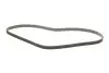 Фото Ремень генератора Honda CR-V 2.0 16V 4WD 95-02/Subaru Forester/Impreza/Legacy 1.5-2.5 92-09 INA (FB4PK895) изображение 2