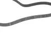 Фото Ремень генератора Toyota Yaris 99-14/Corolla 92-95/Mazda Premacy 99-05/626 91-02/323 98-04 INA (FB 4PK920) изображение 3