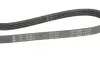 Фото Ремінь генератора BMW 3 (E46)/Kia Rio 00-05 INA (FB4PK970) зображення 2
