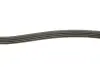 Фото Ремінь генератора Renault Kangoo 1.4i 97-/ Mitsubishi L 300 2.0 86-04/ Hyundai Santamo 2.0 99-02 INA (FB4PK995) зображення 3