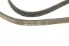 Фото Ремінь генератора Renault Kangoo 1.4i 97-/ Mitsubishi L 300 2.0 86-04/ Hyundai Santamo 2.0 99-02 INA (FB4PK995) зображення 4