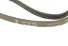 Фото Ремінь генератора Renault Kangoo 1.4i 97-/ Mitsubishi L 300 2.0 86-04/ Hyundai Santamo 2.0 99-02 INA (FB4PK995) зображення 5