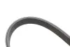 Фото Ремінь генератора Hyundai i10/i20 1.2 13- (5PK1236) INA (FB 5EPK1236) зображення 3