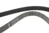 Фото Ремінь генератора Ford Mondeo/Volvo S80/V60/V70/XC70 2.5 07-17 INA (FB 5PK1095) зображення 3