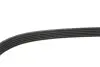 Фото Ремінь генератора Ford Mondeo/Volvo S80/V60/V70/XC70 2.5 07-17 INA (FB 5PK1095) зображення 4