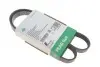 Фото Ремінь генератора Citroen Jumper 2.8HDI 00-/Honda Accord 1.9-2.2 93-98/ Toyota Carina 2.0 96-97 INA (FB 5PK1100) зображення 1