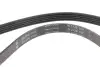 Фото Ремінь генератора Citroen Jumper 2.8HDI 00-/Honda Accord 1.9-2.2 93-98/ Toyota Carina 2.0 96-97 INA (FB 5PK1100) зображення 4
