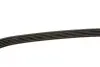 Ремінь генератора Citroen Jumper 2.8HDI 00-/Honda Accord 1.9-2.2 93-98/ Toyota Carina 2.0 96-97 INA (FB 5PK1105) зображення 2