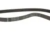 Ремінь генератора Citroen Jumper 2.8HDI 00-/Honda Accord 1.9-2.2 93-98/ Toyota Carina 2.0 96-97 INA (FB 5PK1105) зображення 3