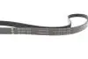 Фото Ремінь генератора Opel Combo 1.6i/Astra G 1.4-1.8 98- (EPDM) INA (FB5PK1212) зображення 4