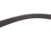 Фото Ремінь генератора VW Passat B5/Audi A4/A6 1.6/1.8 95 INA (FB5PK1300) зображення 3