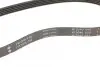Фото Ремінь генератора Land Rover Freelander 1.8 16V 4x4 00-06 (5PK735) INA (FB 5PK736) зображення 3