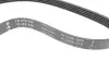 Фото Ремінь генератора BMW 3 (E46)/5 (E39) 1.8D/2.0D 98-03 INA (FB5PK836) зображення 2
