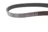 Фото Ремень генератора BMW 3 (E46)/5 (E39)/7 (E38) 95-05 M52/M54 INA (FB 5PK865) зображення 2