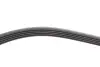 Фото Ремень генератора BMW 3 (E46)/5 (E39)/7 (E38) 95-05 M52/M54 INA (FB 5PK865) зображення 3