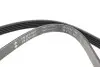 Фото Ремінь генератора Daewoo Lanos 1.3-1.6 97-/Ford Mondeo I/II 1.8TD 93-00 INA (FB 5PK869) зображення 2