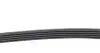 Фото Ремінь генератора Fiat Palio 1.6/ Honda Accord IV/V 2.0 96- (5PK955) INA (FB 5PK955) зображення 2