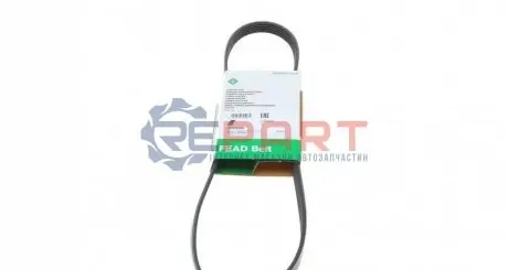 Ремінь генератора Fiat Palio 1.6/ Honda Accord IV/V 2.0 96- (5PK955) INA FB 5PK955 Купити в Україні