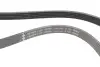 Ремінь генератора Volvo S60 II/S80 II/V60 I/V70 III/XC60 I/XC70 II 2.0/2.4D 06-18 INA (FB5XPK1123) зображення 2