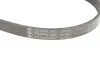 Фото Ремінь генератора Suzuki SX4 2.0 06- (5PK1665) INA (FB 5XPK1665) зображення 5