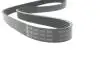 Фото Ремінь генератора VW Golf VIII 1.0 eTSI 20- (6PK1034) INA (FB 6APK1033) зображення 4