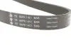 Фото Ремінь генератора Land Rover Defender/Range Rover 3.0 Hybrid 19- INA (FB 6APK1401) изображение 5