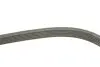 Фото Ремінь генератора VW T5 1.9TDI/VW Caddy 1.9/2.0TDI (+AC) INA (FB6DPK1215) зображення 5