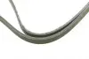 Фото Ремінь генератора Ford Galaxy II/Mondeo IV-V 2.0 EcoBoost 09 INA (FB 6DPK2280) зображення 2