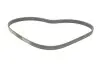Фото Ремень генератора Ford Focus/Fiesta/Fusion 1.25-1.6 99-12/Mazda 2 1.25-1.6 03-07 INA (FB6EPK1042) изображение 2