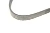 Фото Ремень генератора Ford Focus/Fiesta/Fusion 1.25-1.6 99-12/Mazda 2 1.25-1.6 03-07 INA (FB6EPK1042) изображение 4