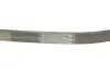 Фото Ремень генератора Ford Focus/Fiesta/Fusion 1.25-1.6 99-12/Mazda 2 1.25-1.6 03-07 INA (FB6EPK1042) изображение 5